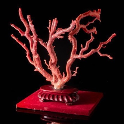 珊瑚原木 | 骨董品高価買取 ひるねこ堂 | 関西 尼崎での骨董品・美術品